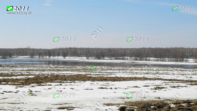 Весна в пойме реки Унжи в окрестностях южнее деревни Лехтово Меленковского района Владимирской области
