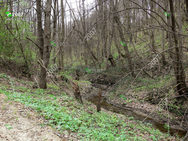 Так выглядят глубокие овраги с весенними ручейками в окрестностях деревни Окшово Меленковского района Владимирской области