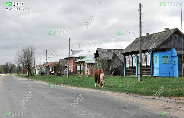Живая лошадь на Центральной улице в деревне Окшово Меленковского района Владимирской области