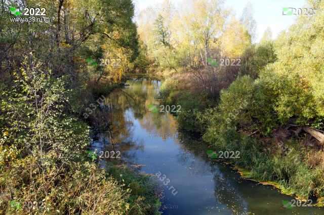2022 Река Пекша осенью в окрестностях деревни Караваево Петушинского района Владимирской области