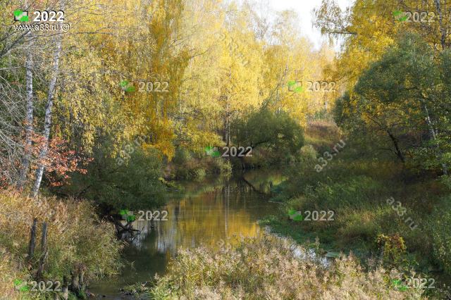 2022 Река Пекша в верховьях скрывается в чаще лесов; деревня Караваево Петушинского района Владимирской области