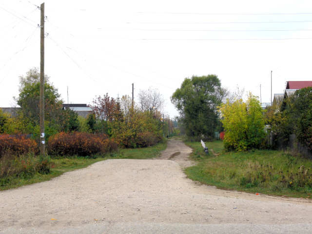 2007 Улица Центральная в деревне Красный Луч Петушинского района Владимирской области в районе 40-х домов
