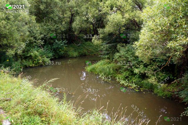 2021 Река Большая Липня в районе посёлка Труд Петушинского района Владимирской области узкая, мелкая и мутная