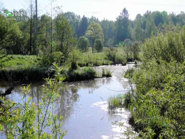 2007 Приток реки Вольги у деревни Вялово Петушинского района Владимирской области