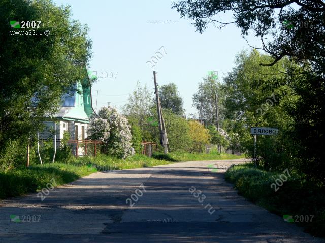 2007 Улица Центральная в районе дома 1; деревня Вялово Петушинского района Владимирской области