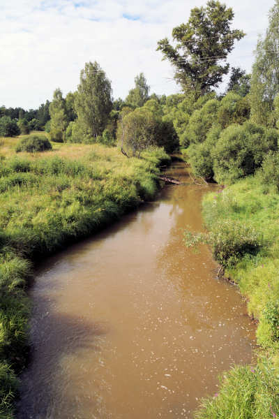 Вода в реке Шередарь коричневая до неприличности
