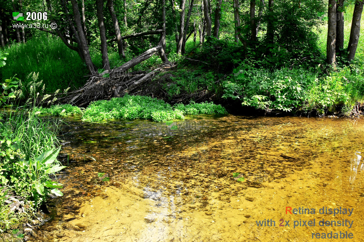 Живописные берега и чистая прозрачная вода реки Ушны