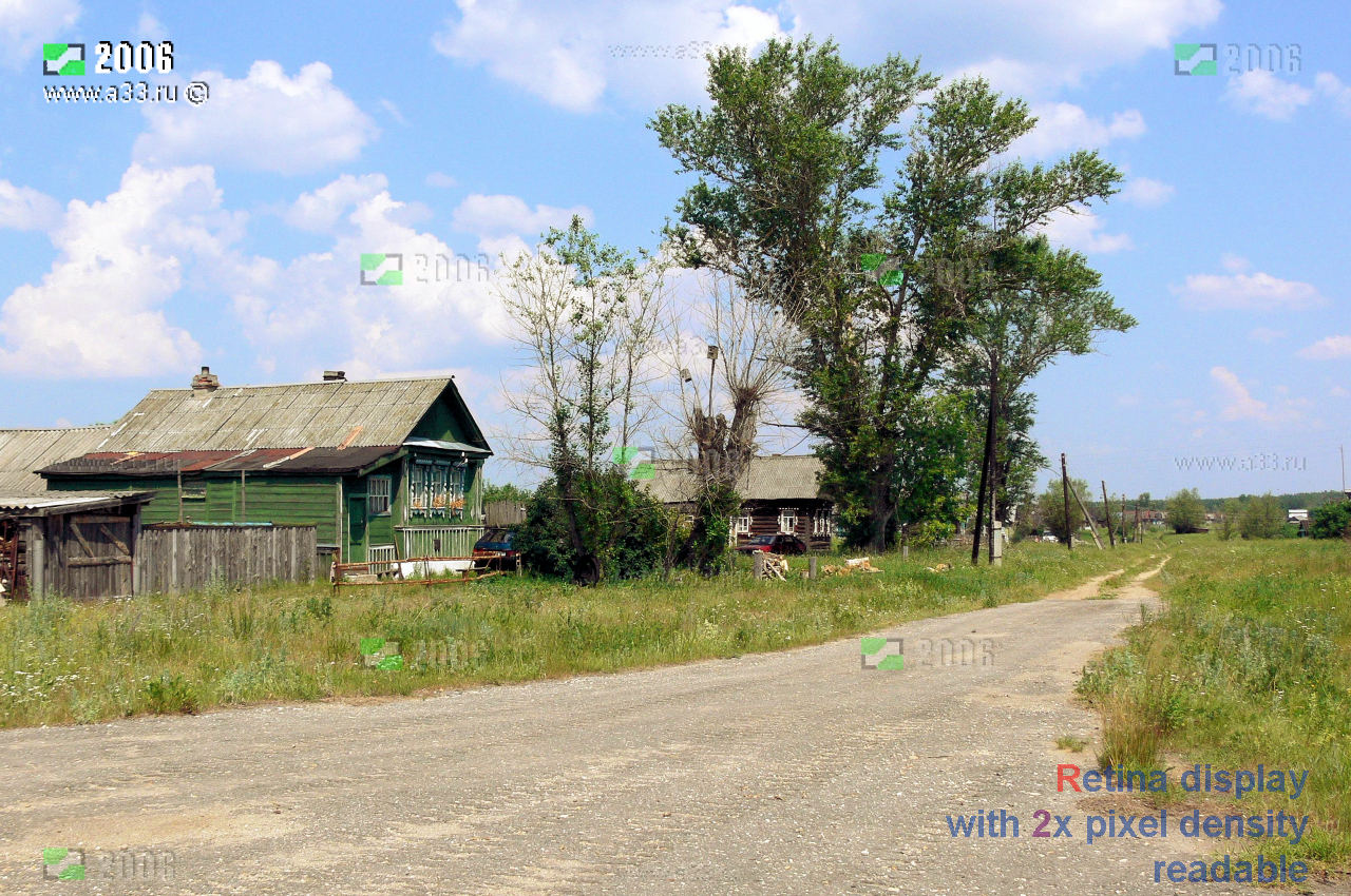 Главная и единственная улица деревни Гусек Селивановского района Владимирской области