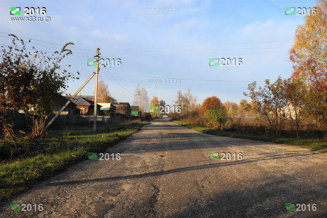 Участок главной улицы Нечётная сторона домов слева Ильинское Селивановский район Владимирская область