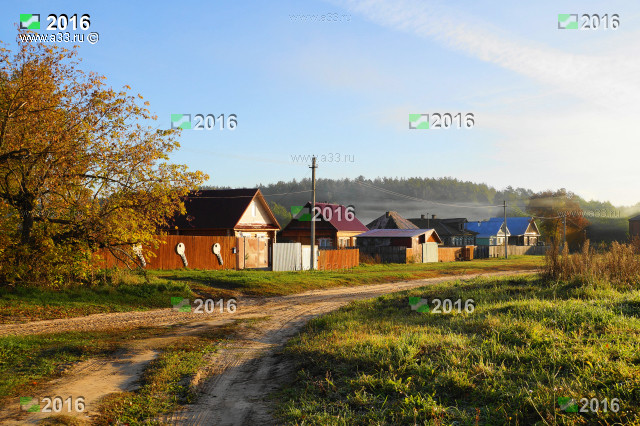 Восточная часть Ильинского Селивановский район Владимирская область