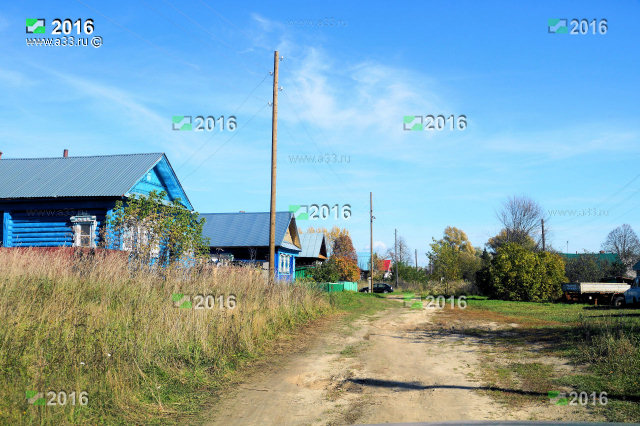 Общий вид главной и единственной улицы деревни Курково Селивановского района