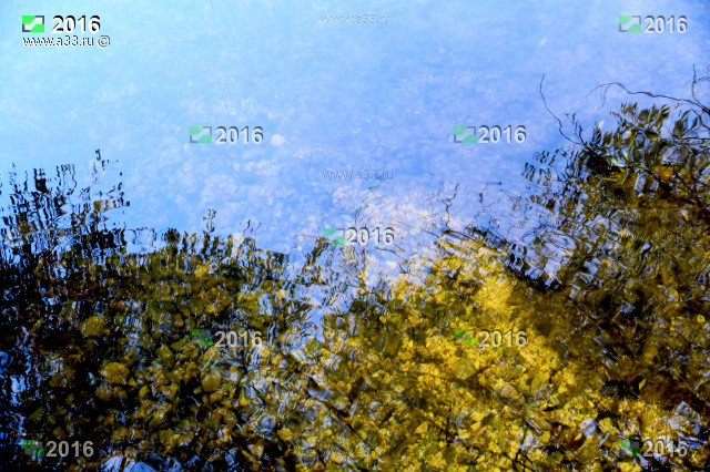 Осенняя вода у села Матвеевка Селивановского района Владимирской области