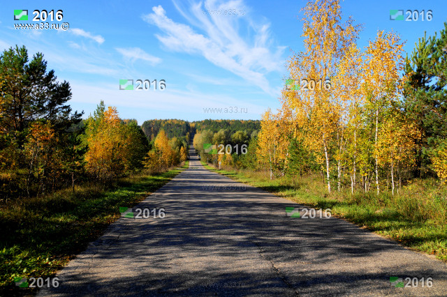 Дорога от Матвеевки на Скалово фотография Селивановский район Владимирской области