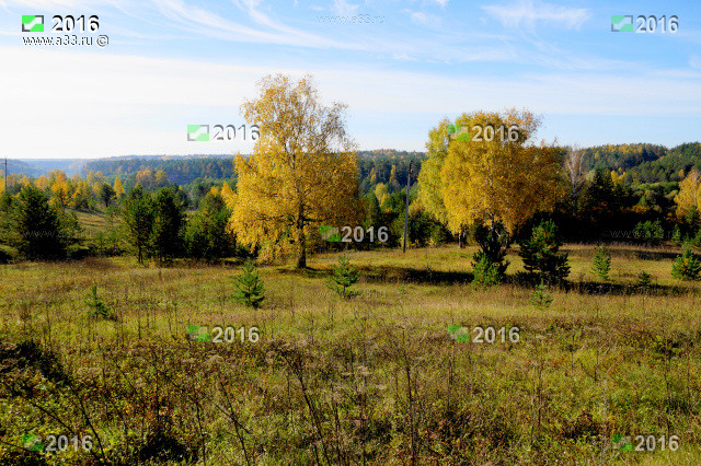 Типичный природный пейзаж в окрестностях села Матвеевка Селивановского района Владимирской области