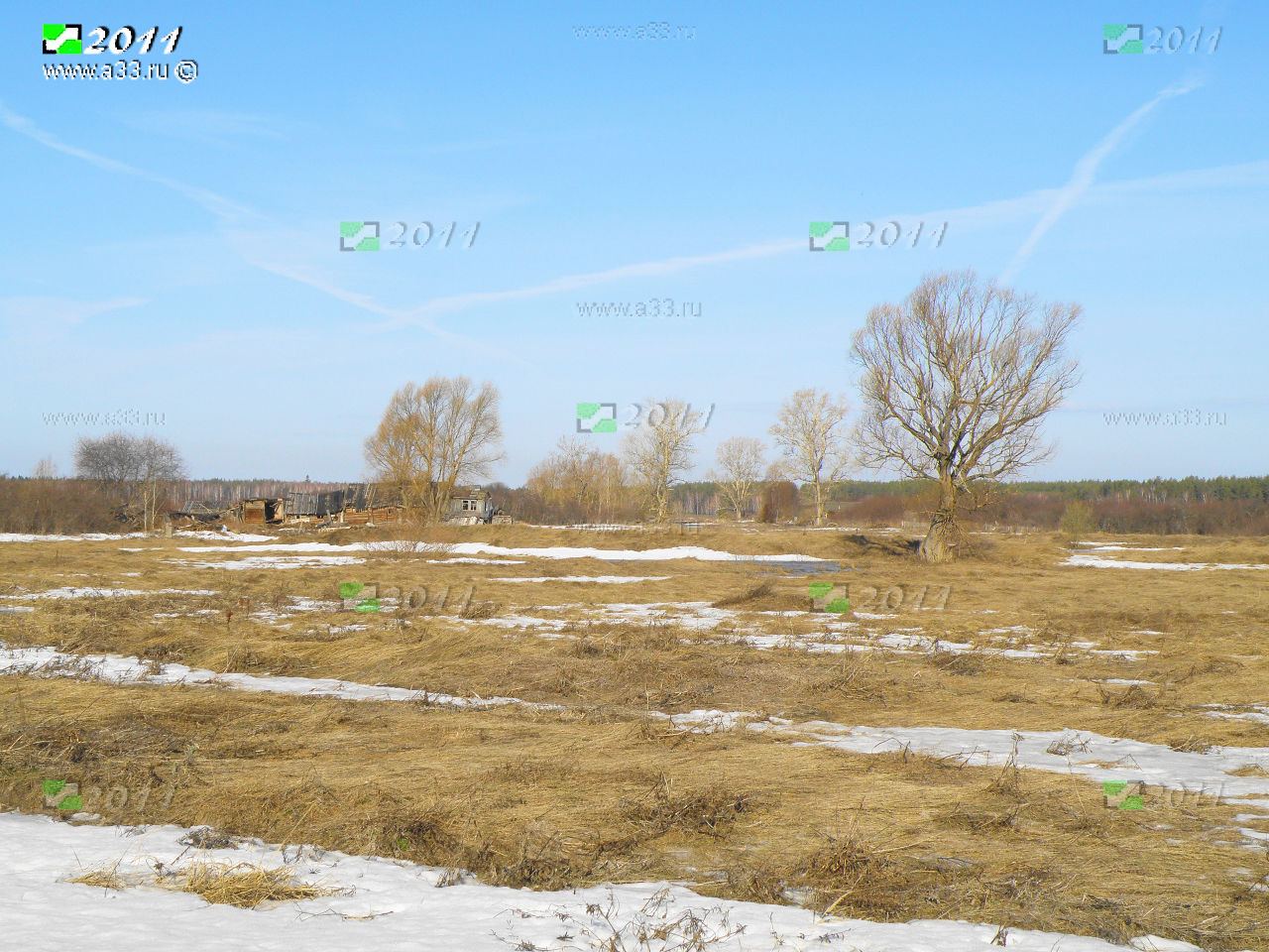 Панорама деревни Мичково Селивановского района ранней весной
