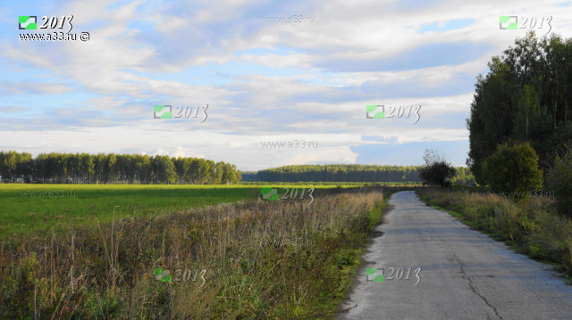 Все дороги ведут на кладбище и кончаются на кладбище села Никулино Селивановского района Владимирской области