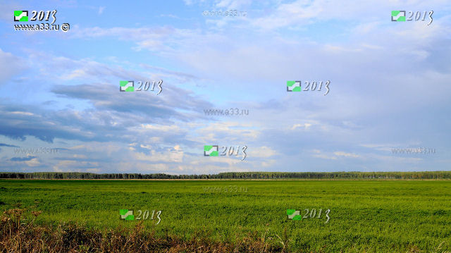 Поля вокруг Никулино Селивановского района Владимирской области