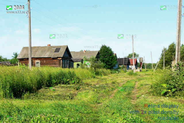 Главная и единственная улица деревни Пошатово Селивановского района Владимирской области