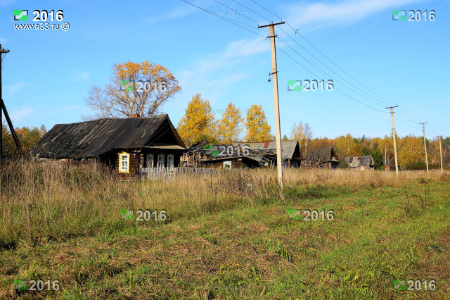 В деревне Скалово Селивановского района Владимирской области часть домов руинируется или брошена