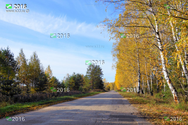 Дорога на Скалово Селивановского района Владимирской области Асфальт старый плохой