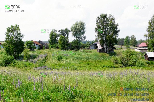 Вид деревни Старое Бибеево Селивановского района Владимирской области - фотография
