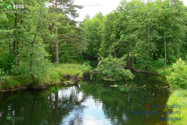 Живописные берега реки Тетрух в окрестностях деревни Теренино одно из самых экологически чистых мест Селивановского района Владимирской области