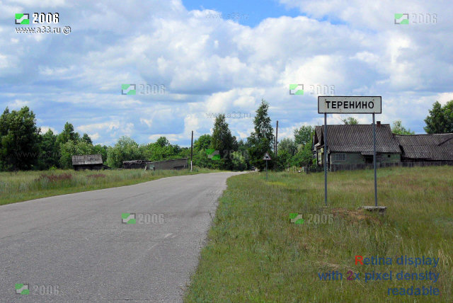 Главная и единственная улица деревни Теренино Селивановского района Владимирской области