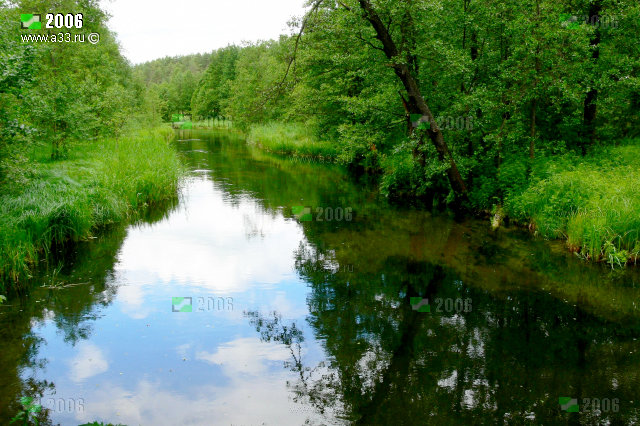 Чистая река Колпь возле Тучково Селивановского района Владимирской области