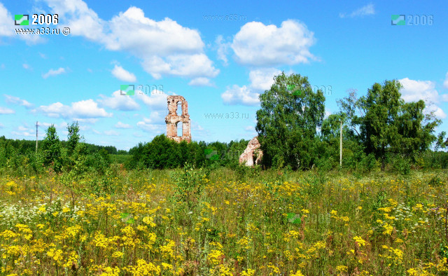 Общий вид урочища Старые Замотри Селивановского района Владимирской области с юга