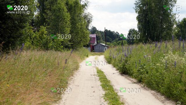 Артюшино Собинского района Владимирской области деревня тупиковая дальше начинается лес и нет дорог поэтому и въезд в неё тоже один с севера
