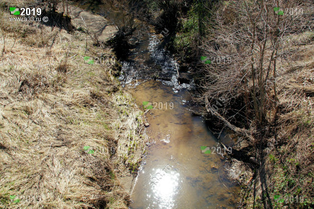 Река Пещерга в апреле после схода снега окрестности деревни Азиково Собинский район Владимирская область