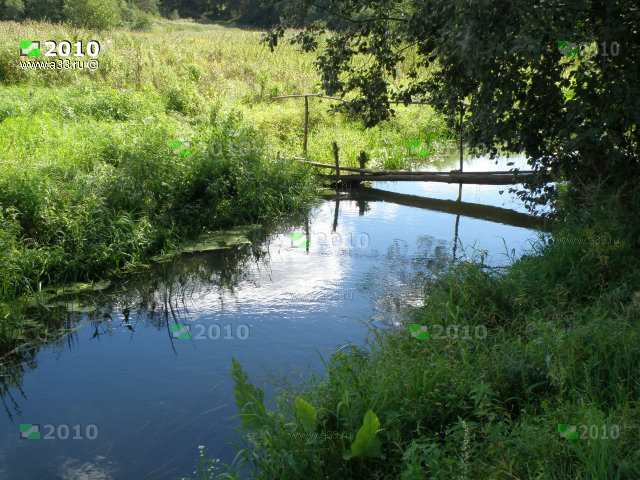 Тихая речка Колочка летом