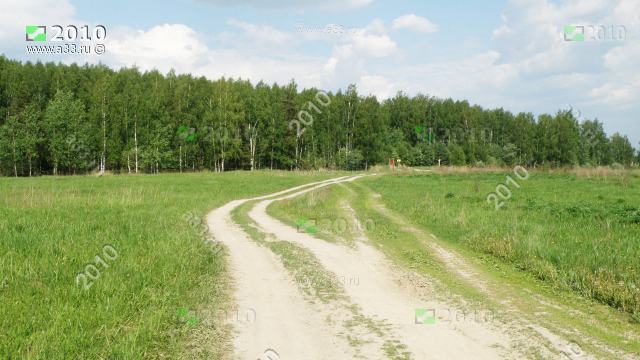 2010 Природа и леса Собинского района Владимирской области