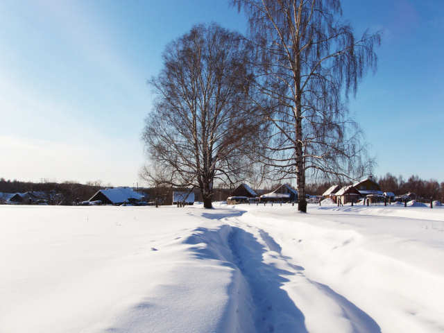 2006 Зимняя панорама деревни Мещера Собинского района Владимирской области с дорогой, занесённой снегом