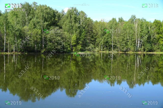 На берегу водохранилища на реке Сипуниха в окрестностях села Заречное Собинского района Владимирской области есть мостки