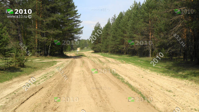 Дорога по песку в деревню Бахтино Судогодского района Владимирской области