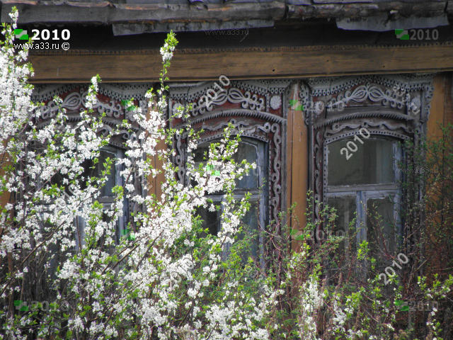 Ветки цветущей вишни у деревянных резных наличников окон брошеного дома в деревне Бахтино Судогодского района Владимирской области