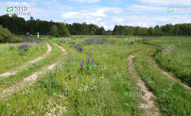 Две дороги в деревню Тихоново мимо деревни Брыкино Судогодского района Владимирской области