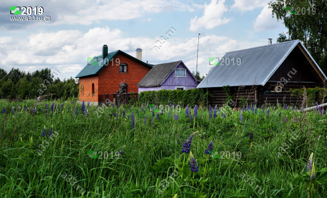 Дача на окраине деревни Брыкино Судогодского района Владимирской области с хозяйственными постройками