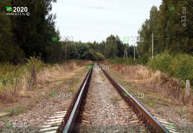 Железнодорожные пути в окрестностях деревни Нижняя Занинка Судогодского района Владимирской области