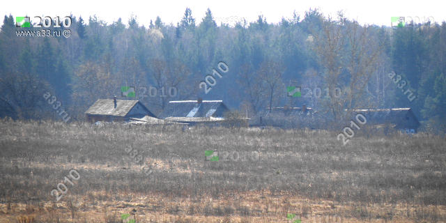 Деревня Новокарповка Судогодского района Владимирской области между полем и лесом