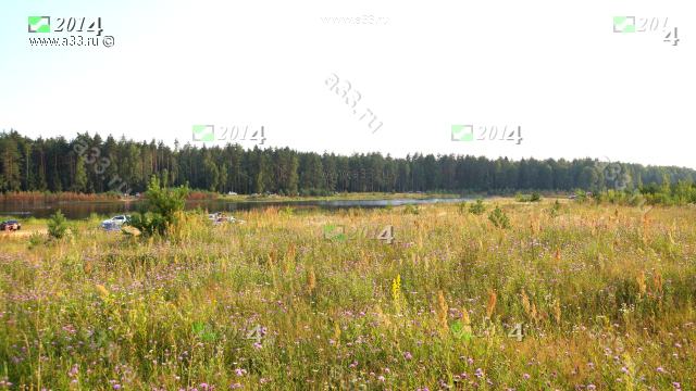 Новокарповка это хорошее купание, медвяные луга и чистые сосновые леса Судогодский район Владимирская область