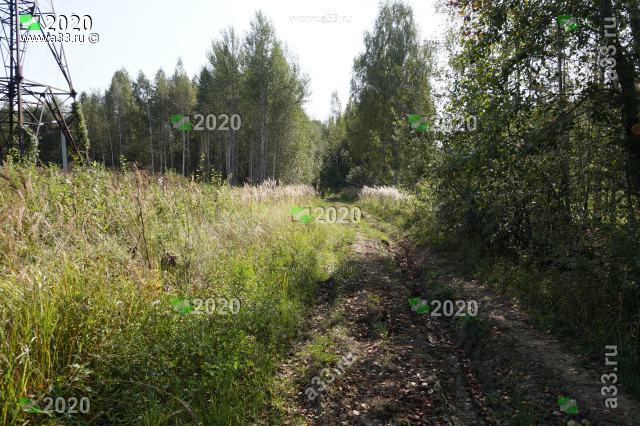 Типичный участок дороги вдоль железнодорожных путей у деревни Ванеевки Судогодского района Владимирской области