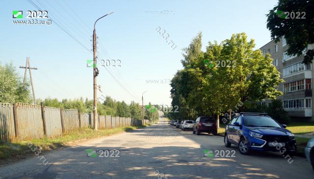 2022 Улица Прянишникова в районе дома 3; деревня Вяткино Судогодского района Владимирской области