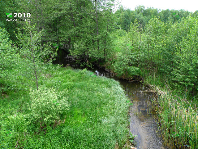 Река Тетрух с севера от деревни Буторлино Вязниковского района Владимирской области