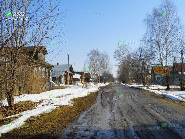 Главная и единственная улица деревни Ильина Гора Вязниковского района Владимирской области
