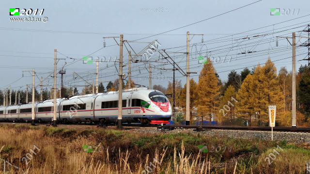 Высокоскоростной поезд Сапсан проезжает железнодорожную станцию Мстёра Вязниковского района Владимирской области без остановки