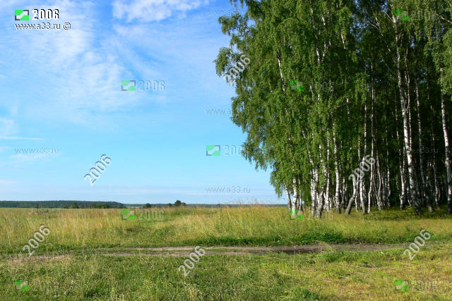 Деревня Нагуево Вязниковского района Владимирской области находится в живописной местности всхолмленных полей и красивых перелесков