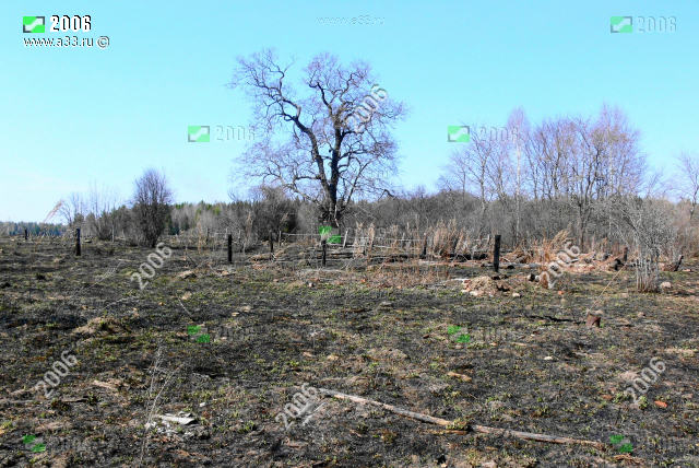Остатки фермы для скота и столбиков ограды загона в урочище Озерки Вязниковского района Владимирской области