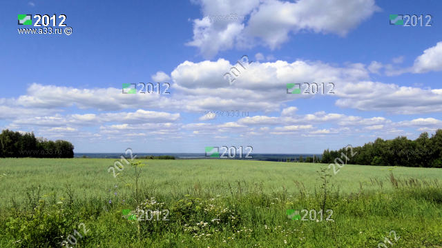 Панорама полей возле деревни Войново Вязниковского района Владимирской области